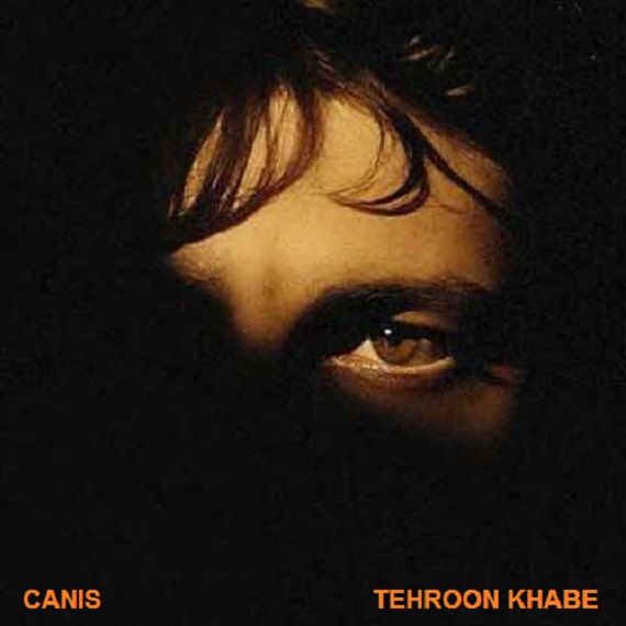 دانلود آهنگ تهرون خوابه کنیس از فارس ترانه